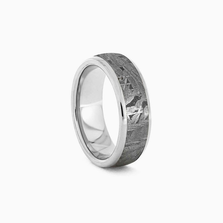 Gibeon Meteorite in Titanium