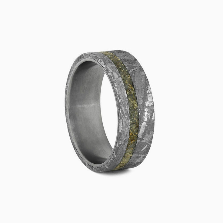 Meteorite With Dinosaur Bone and Titanium
