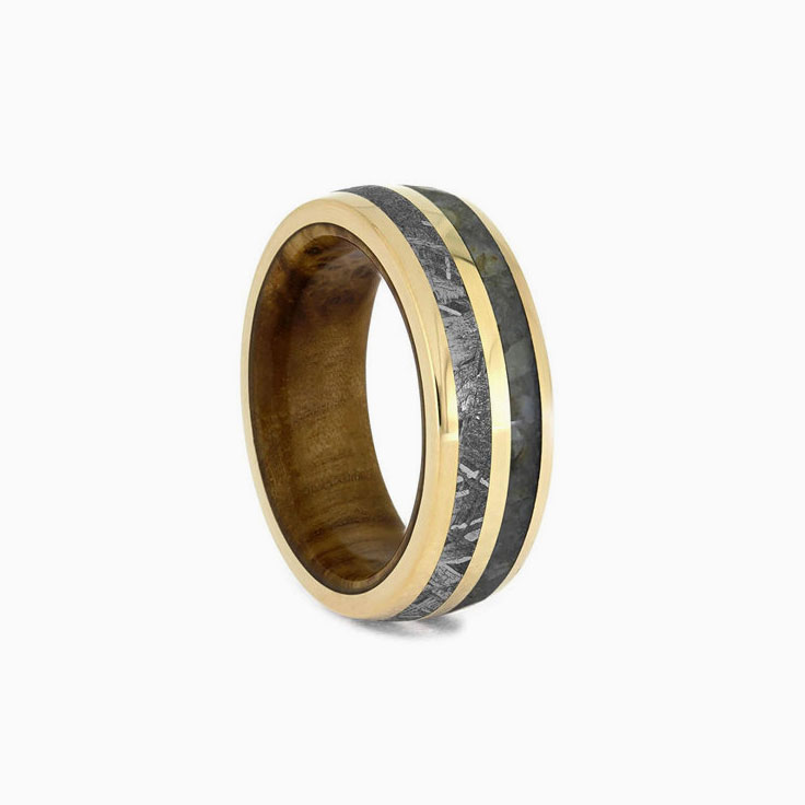 Dinosaur Bone Meteorite and gold ring
