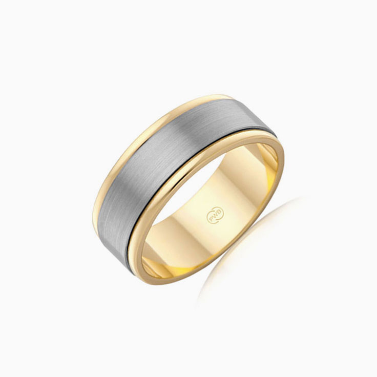 Titanium and Gold Ring TIJ3880
