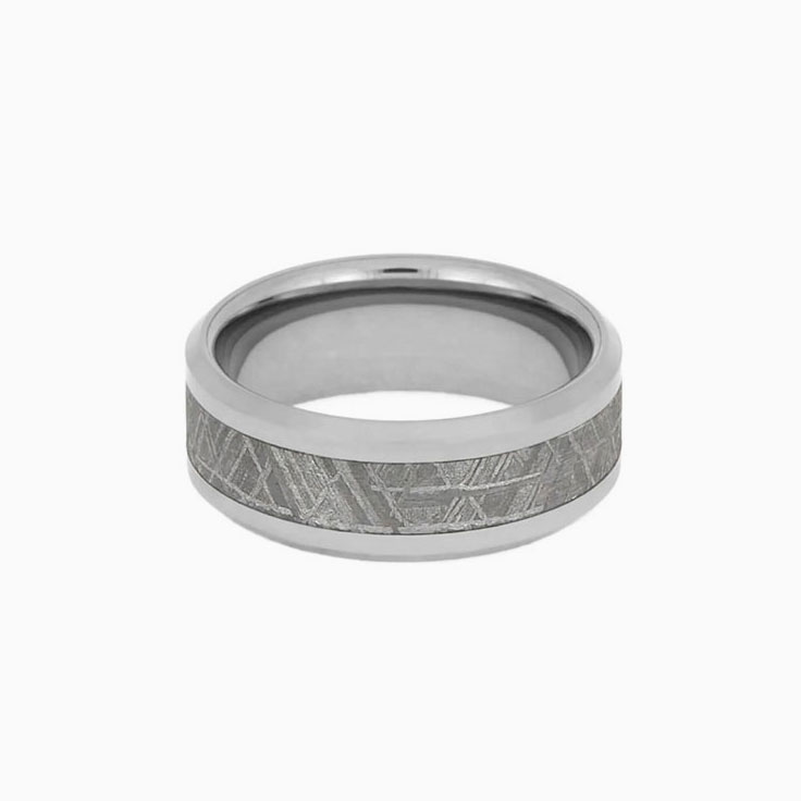 Gibeon Meteorite Ring in Titanium 1159